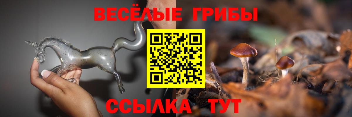 Батайск  Галлюциногенные грибы мицелий  Псилоцибиновые грибы мухоморы  Вход с VPN 